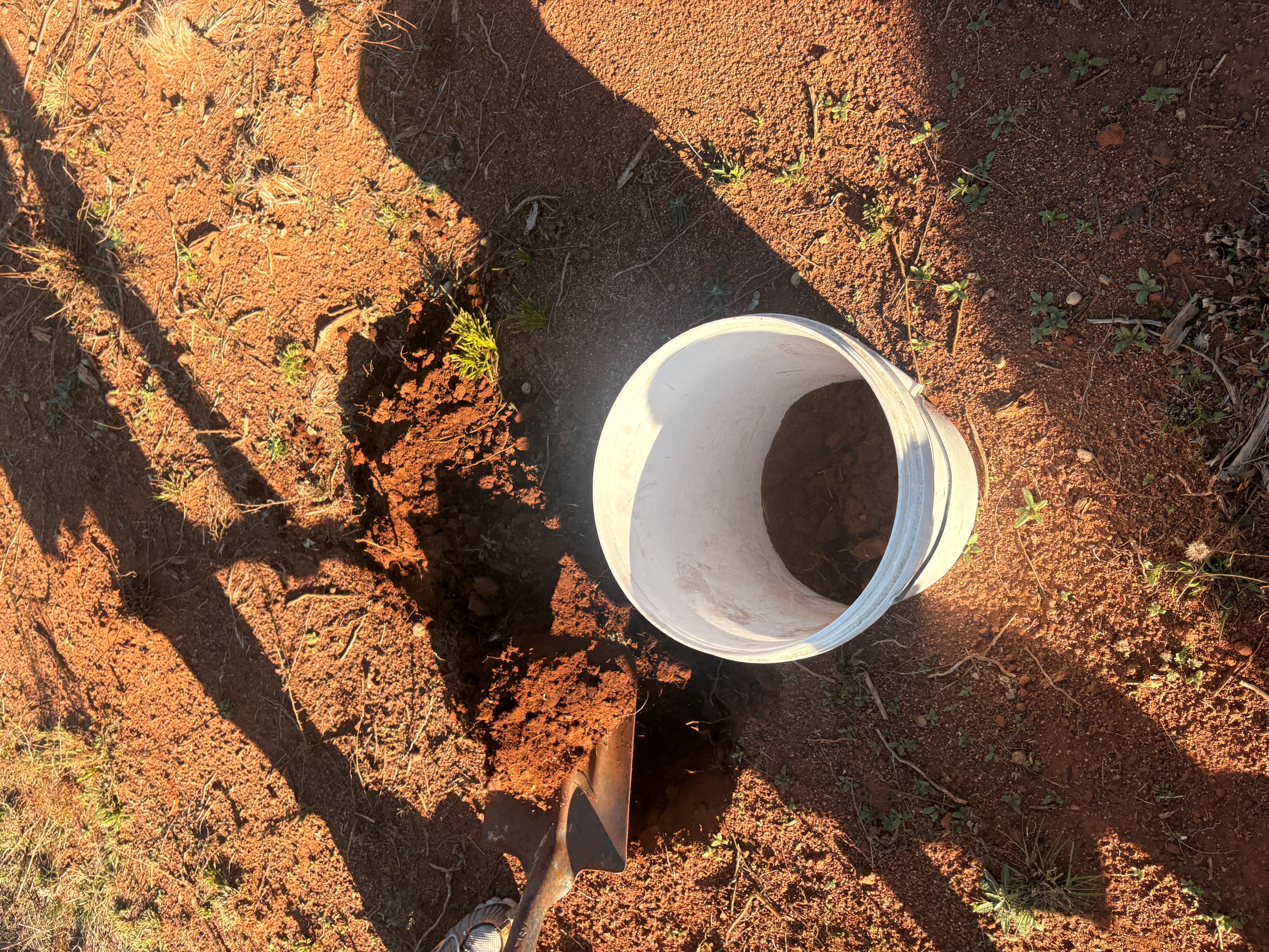 A bucket of collected red earth