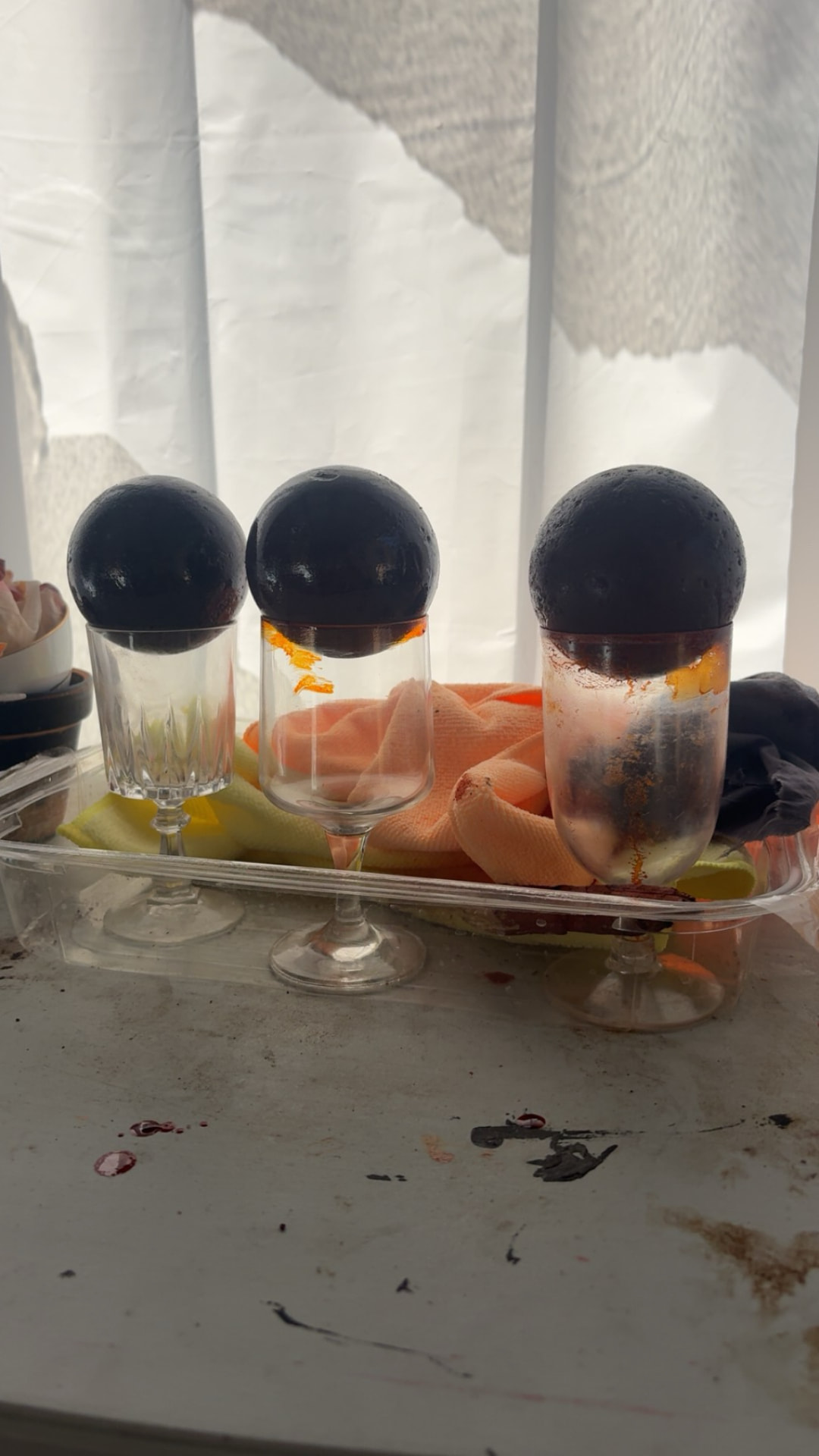 Three dark Dhawun Buru resting on upturned glasses while they dry