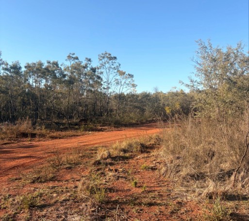 Red earth and bushland on Country